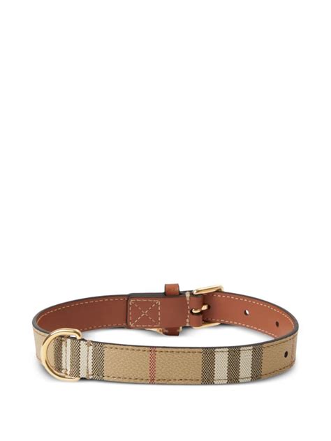 burberry hundehalsband